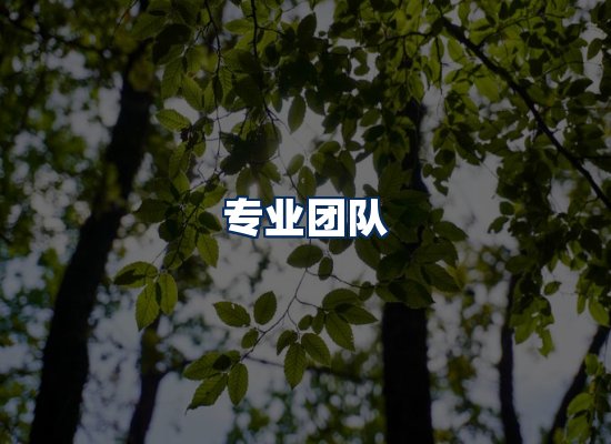 专业团队